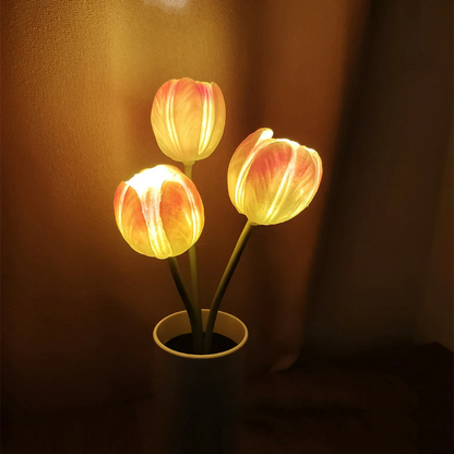 Enchanted Tulip Glow